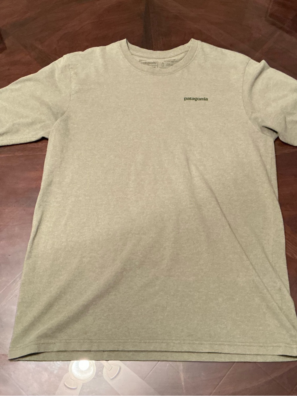 Patagonia Short Sleeve Tee in Olive
